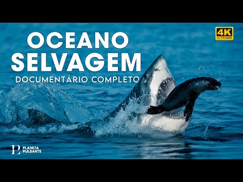 PACIFIC OCEAN | The Kingdom of the Brutal Predators | Full Documentary