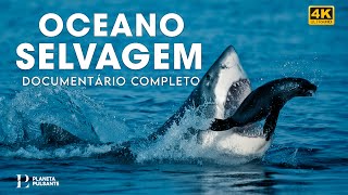 PACIFIC OCEAN | The Kingdom of the Brutal Predators | Full Documentary