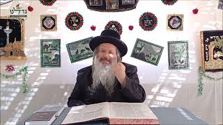 הרה"ג ר' שמעון שנייבלג שליט”א | דבר חינוך אקטואלי מהפרשה | חג הסוכות | אידיש