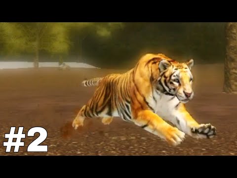 Ultimate Tiger Simulator 2 - Gameplay Part 2 - No Commentary - YouTube