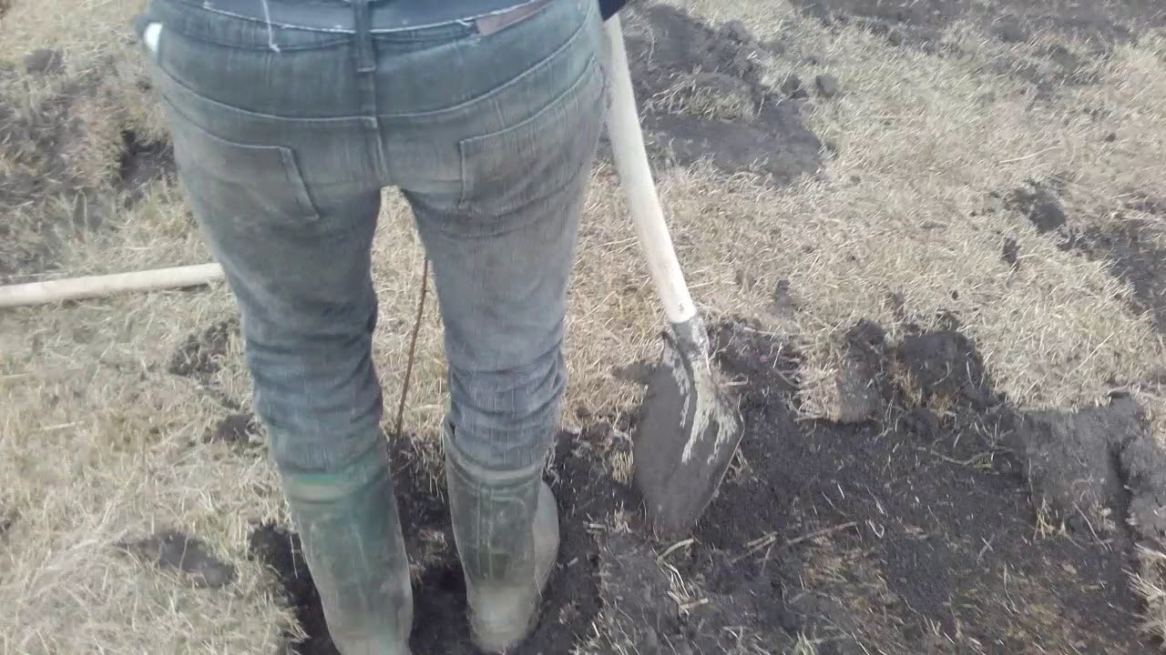 Watch In Ce Luna Se Planteaza Puieti De Salcam Now Plantam puteti de salcim.