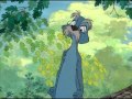 Squirrels Wmv