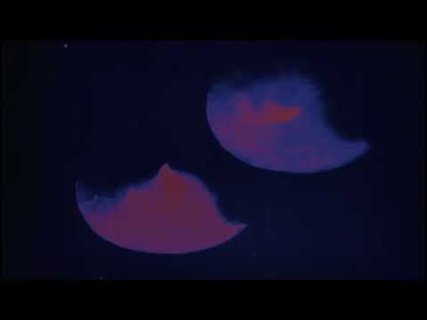 The Colours out of Time - Rock Section - Epilogue