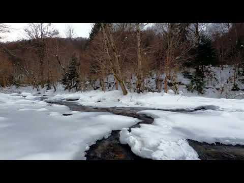 SALMO 40 (39) INNO DI RINGRAZIAMENTO A DIO