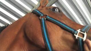 I just haven't m e t  you yet...