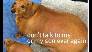 the spookening part 1