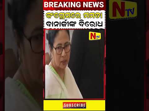 Latest News Video