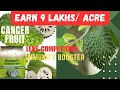 Cancer fruit farming Hindi/Soursop fruit farm/कमाई 9 लाख/एकड़/Lakshman phal ki kheti/Plants availa