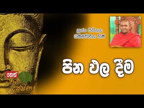 Darma Dakshina 2019.07.17 - Pitigala Dammawinitha Himi