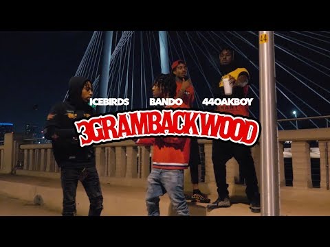 IceBirds, Bando, 44OakBoy - 3 Gram Backwood | Shot by Breadshots