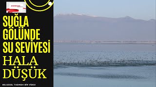 SUĞLA GÖLÜNDEKİ KUŞLAR KORUMA ALTINA ALINMALIDIR.