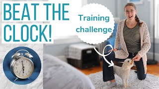 CAN I TEACH ROSCO A NEW TRICK IN 15 MINS?! | Training My Maltipoo to Walk Through My Legs Challenge