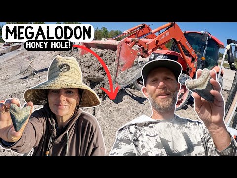 BONE VALLEY FOSSIL FARM | Finding Megalodon Shark Teeth in Florida!