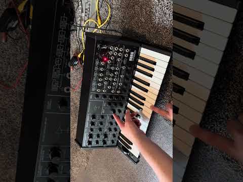 Korg MS-20 FS Kit 2014 image 6