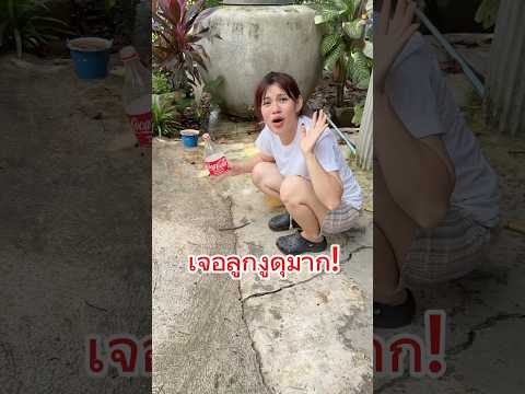 เจองูมีพิ ษ ! 🐍😭