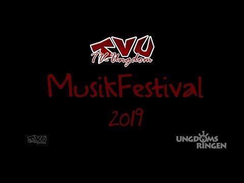 Ungdomsringens Musikfestival 2019 - The pople