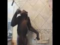 Ape taking a shower #monkey #chimp chimp bath