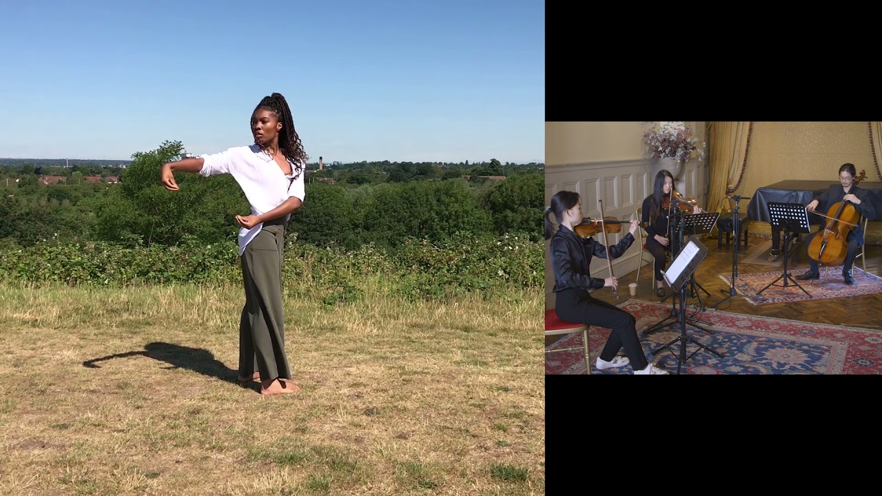 Video Image