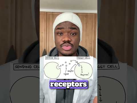 Promethazine Explained!🚨#shorts #pharmacy #promethazine #antihistamine #allergies #lean #doctor