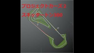 プロジェクトカーズ2：インディカー：第20回　スネッタートン300：AI難易度120