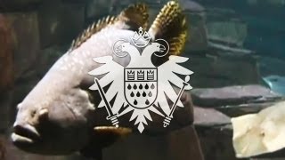 Justus Köhncke - Feuerland (Official Video) 'Safe and Sound' Album