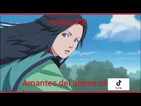 Tráiler Naruto la Película: ¡El Rescate de la Princesa de la Nieve! [BDRIP] 2004