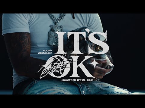 Polima Westcoast - It's Ok (Visualizer)