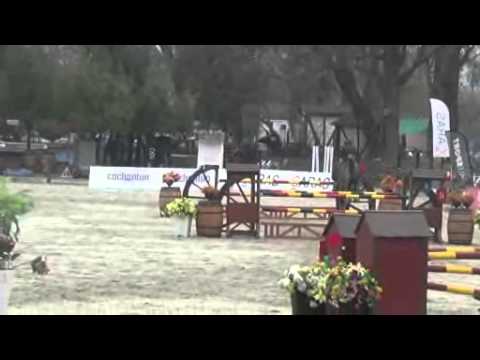 Cornet Boy Rinconada