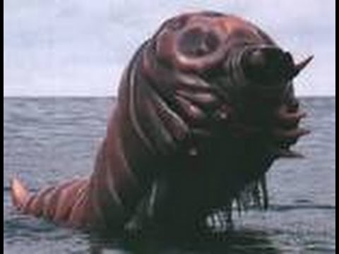 Godzilla ps4: Mothra larva longplay(hard route)