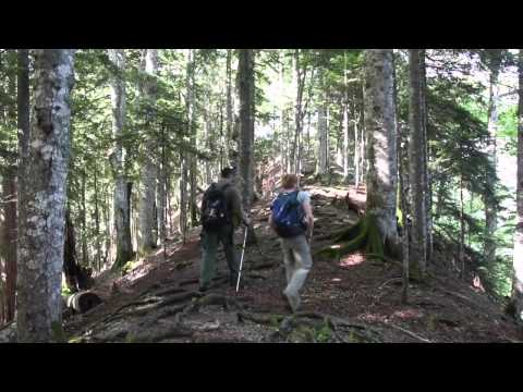 Sutjeska National Park