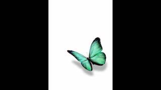 Download lagu Ringtone - My Leacon (JTL) mp3 Download lagu Ringtone - My Leacon (JTL) mp3