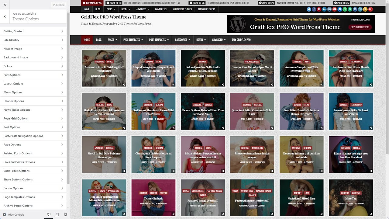 Customizer Theme Options - GridFlex PRO WordPress Theme