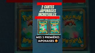 Je viens de conclure une super affaire pour ce lot de deux cartes japonaises !