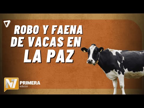 Ocurrió un ROBO de VACAS y faena CLADESTINA en La Paz