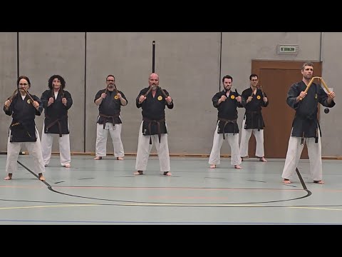Nunchaku-Training im Matayoshi Kobudo Kampfkunst der Kampfsportschule Aarau