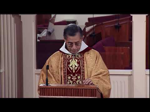 Daily Catholic Mass - 2019-11-24 - Fr. Miguel