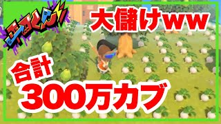 カブで心が壊れた【あつまれどうぶつの森実況】