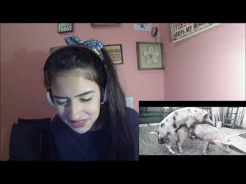 Homo Freestyle Sapiens | Nauí MOVNI, Doctor Zumba, Mr. Dreka, Hot & Oreia | REAÇÃO INDI JADE