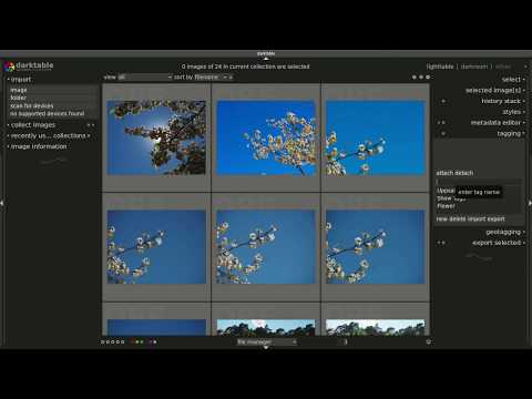 Managing and taging images in darktable