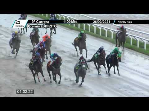 210326 c09 - NIKI LAUDA - HIPODROMO LAS PIEDRAS