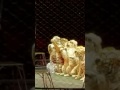 Ringling Bros Circus 145 FINAL SHOW ЦИРК Tigers
