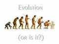 Korn Evolution