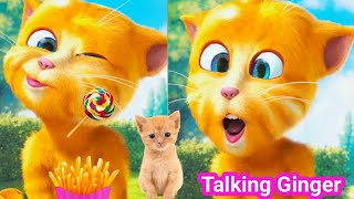 Talking Ginger Funny Videos 🤣🤣 | talking tom | talking ginger |