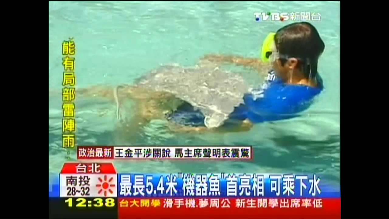 最長5.4米「機器魚」首亮相　可乘下水