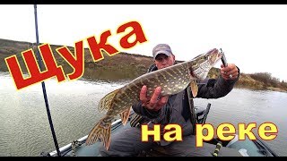 Crazy fish arion asr762s m