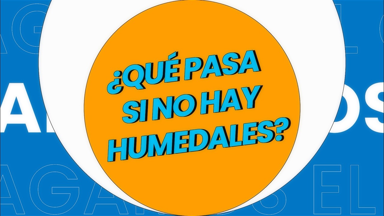 ¿Qué pasa si no hay Humedales?
