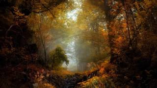 Endless Voyage X - Summer's Passing