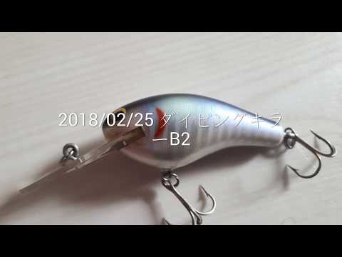 2018/02/25 ダイビングキラーB2