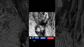 Download lagu Prajurit ini bersembunyi selama 28 tahun.. #like #history #worldwar2 #comment #ww2 mp3 Download lagu Prajurit ini bersembunyi selama 28 tahun.. #like #history #worldwar2 #comment #ww2 mp3