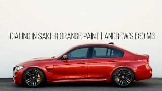 Paint Polishing Tutorial with Andrew's New F80 M3
